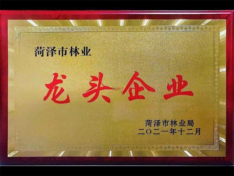 公司榮譽